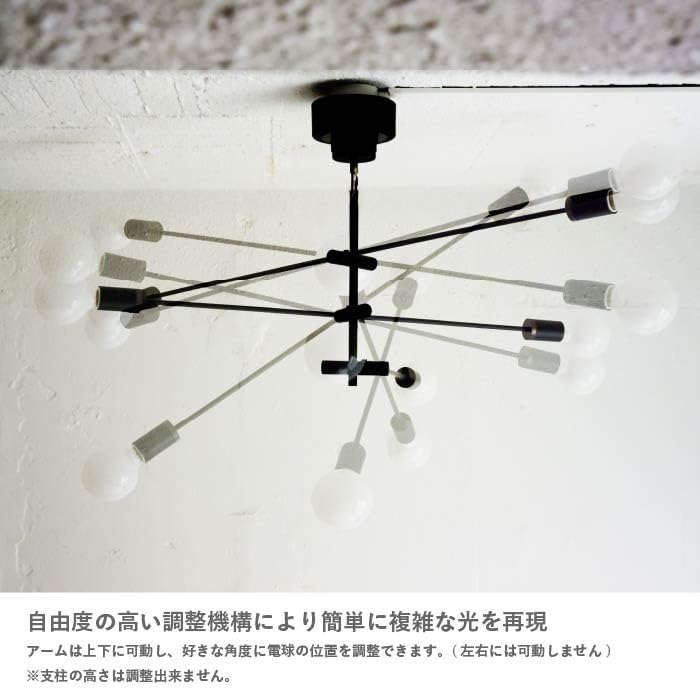 Amazon.co.jp: LP3122BK Black/Cardinal Pendant Lamp Cardinal